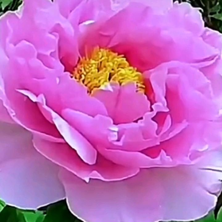 阳堂晗