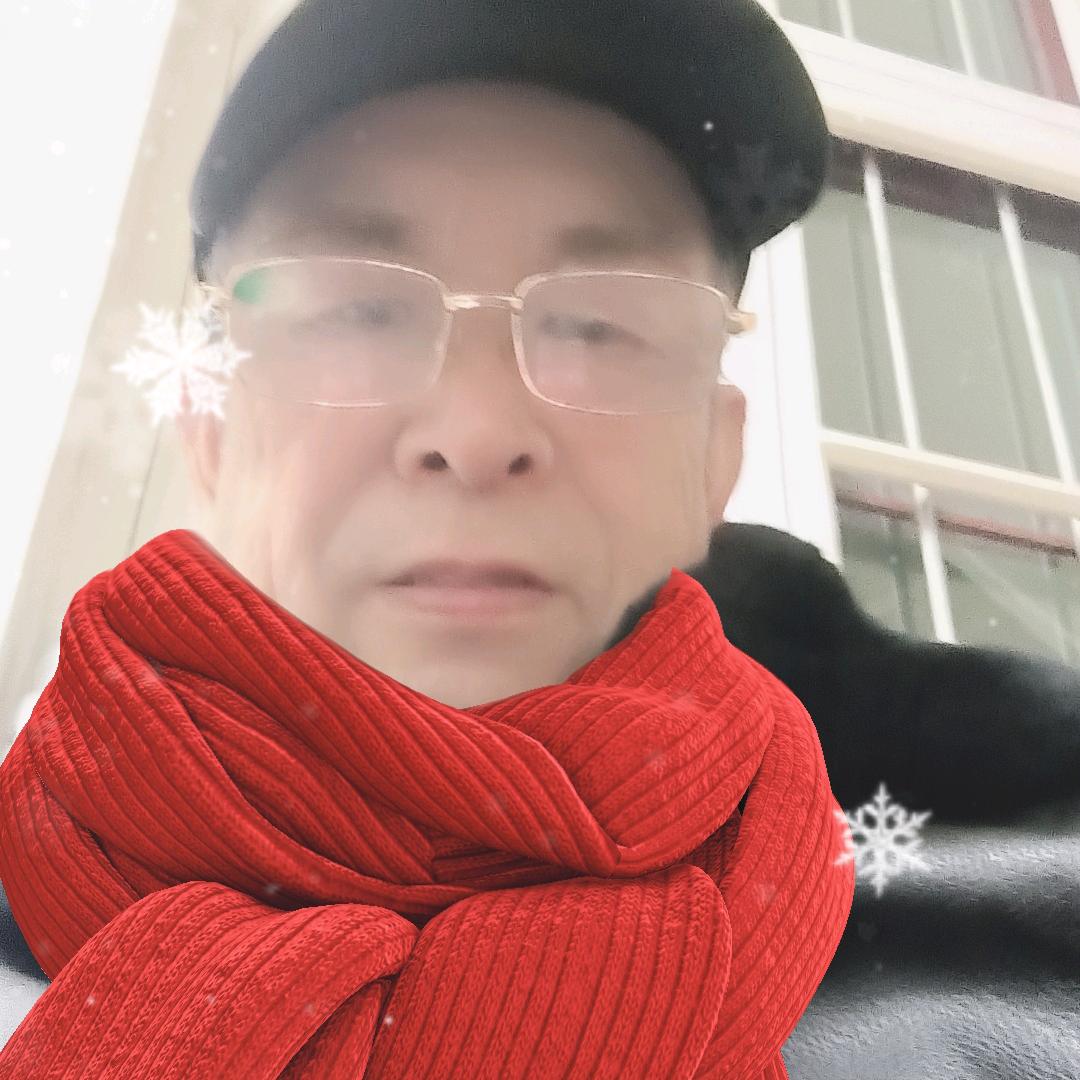 战红jp29