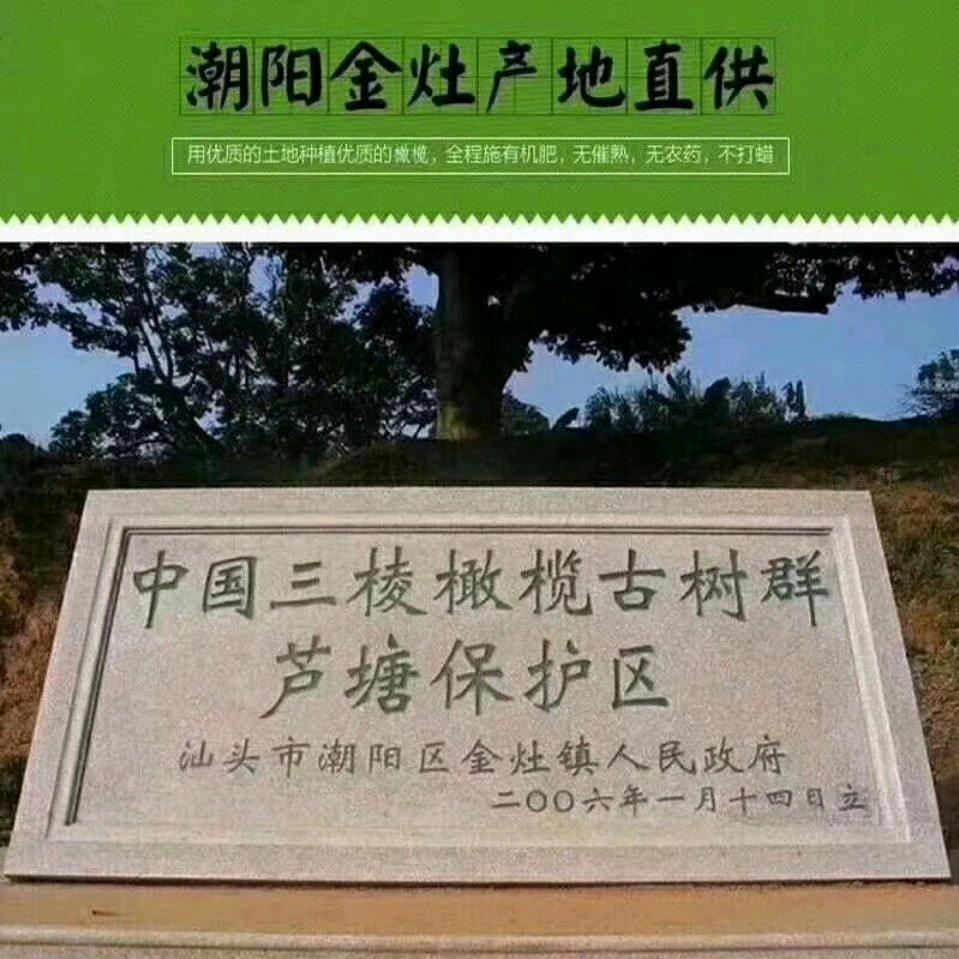 金灶土特产