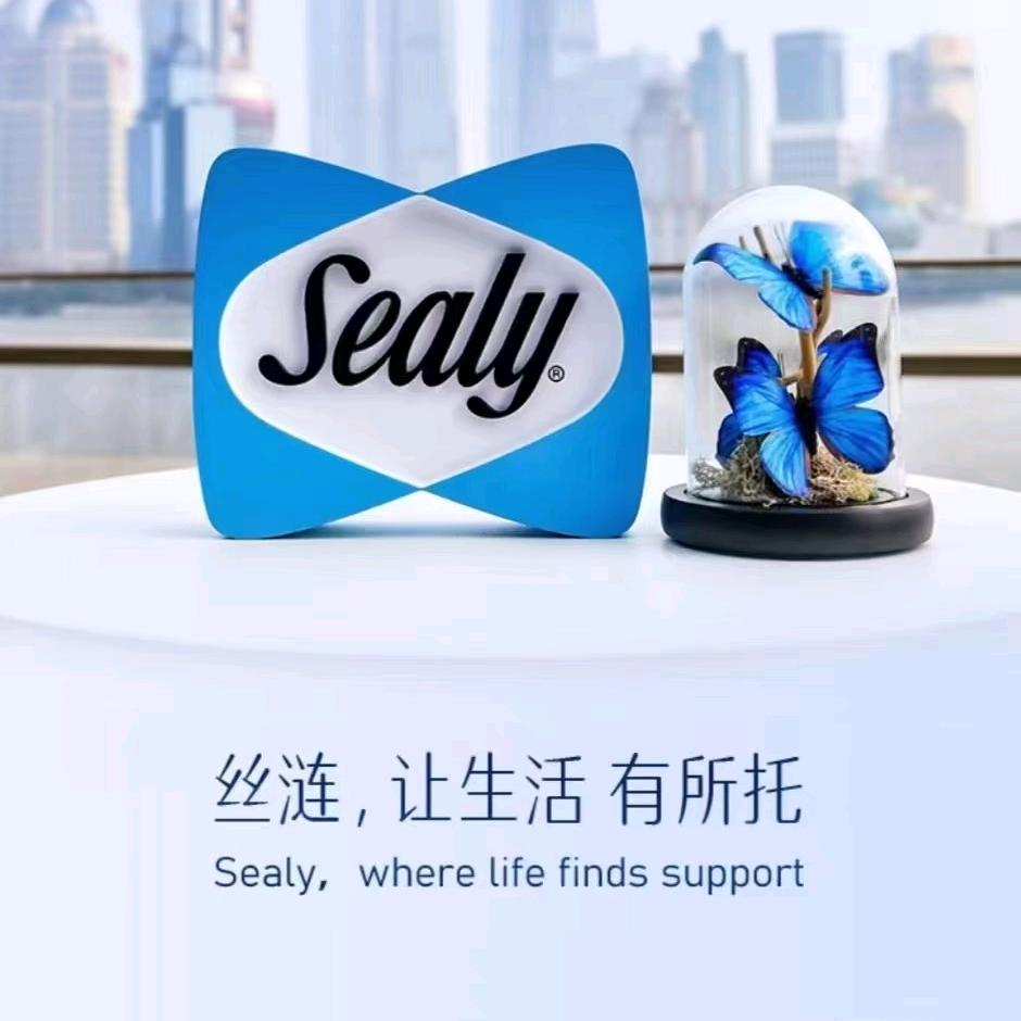 丝涟会泽唐小妹