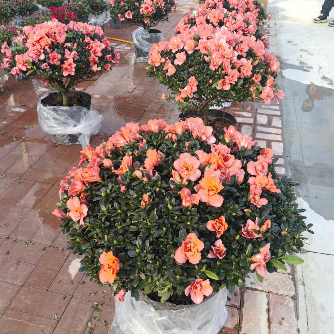 孩子是妈的心头肉