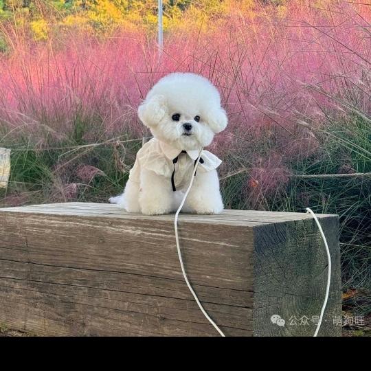 一起快乐游