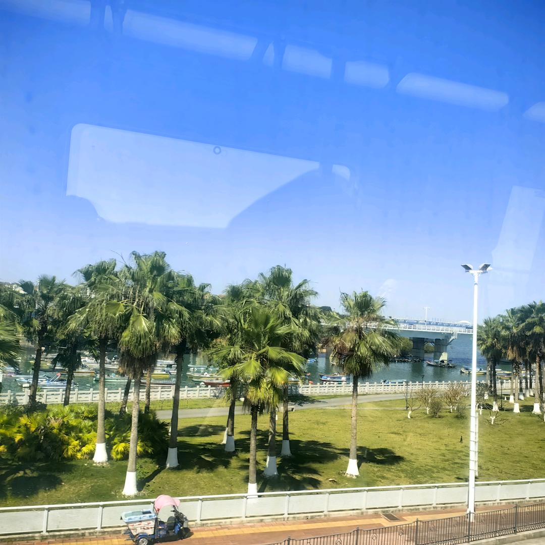 甜甜圈ʕっ•ᴥ•ʔっ