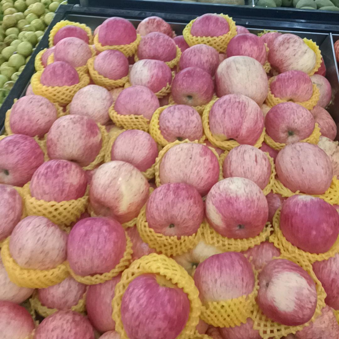 袁来只为玉见你