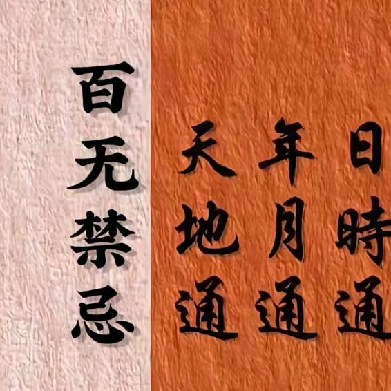 大梅梅爱生活