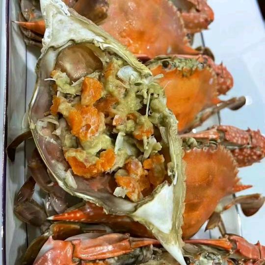 (￥A￥)人生百态