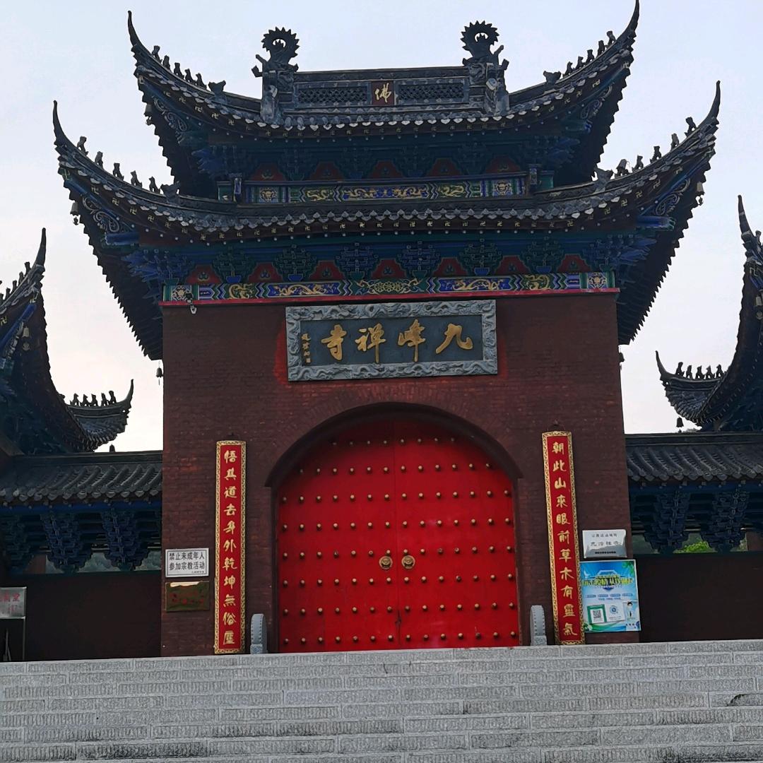 菩提树