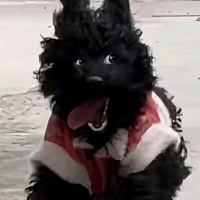 阿非吖
