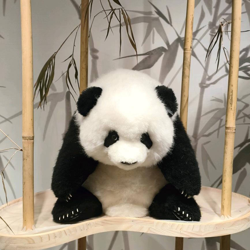 不是吧头像
