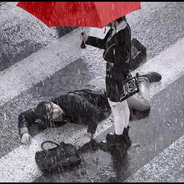 林花谢了春红