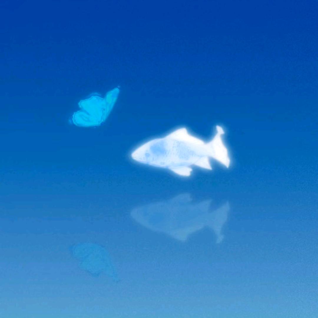 七七聊家庭