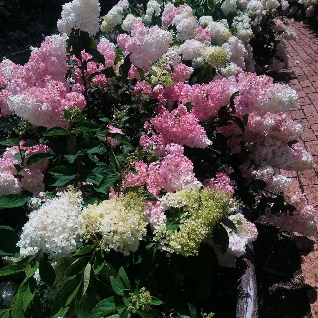 💓相谁💗相伴💓