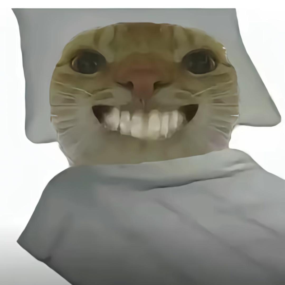 殷向阳