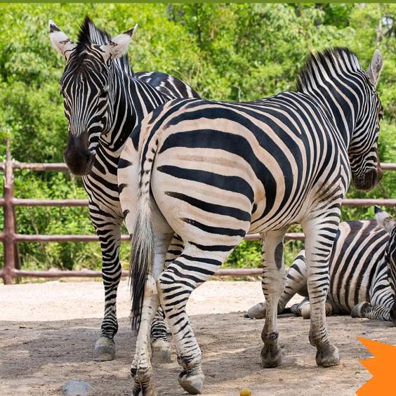 生活本就很美好yyds