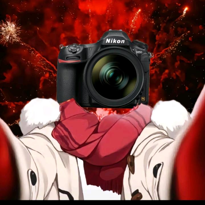 淡墨文竹丶