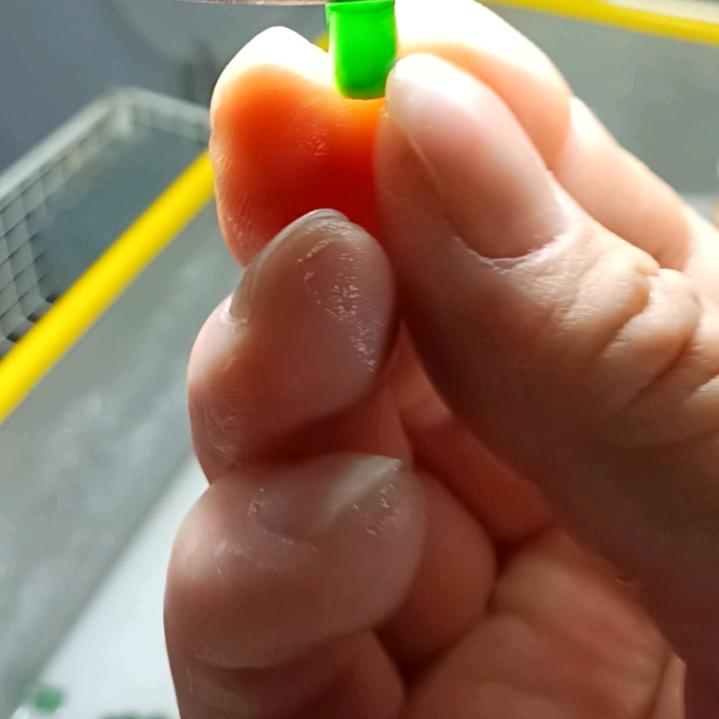 重生之有点好色