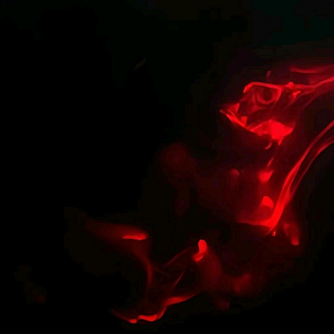 秦彻（暗点歌王）