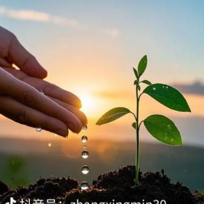 🍀 🍀小树苗儿🍀🍀