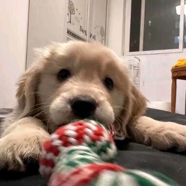 lun~
