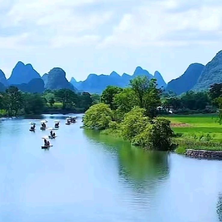 进行,(季节性的水果)