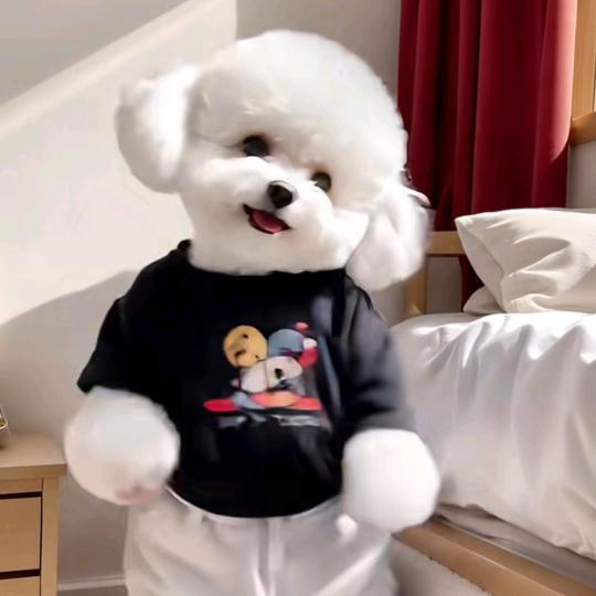 风里去，雨里来