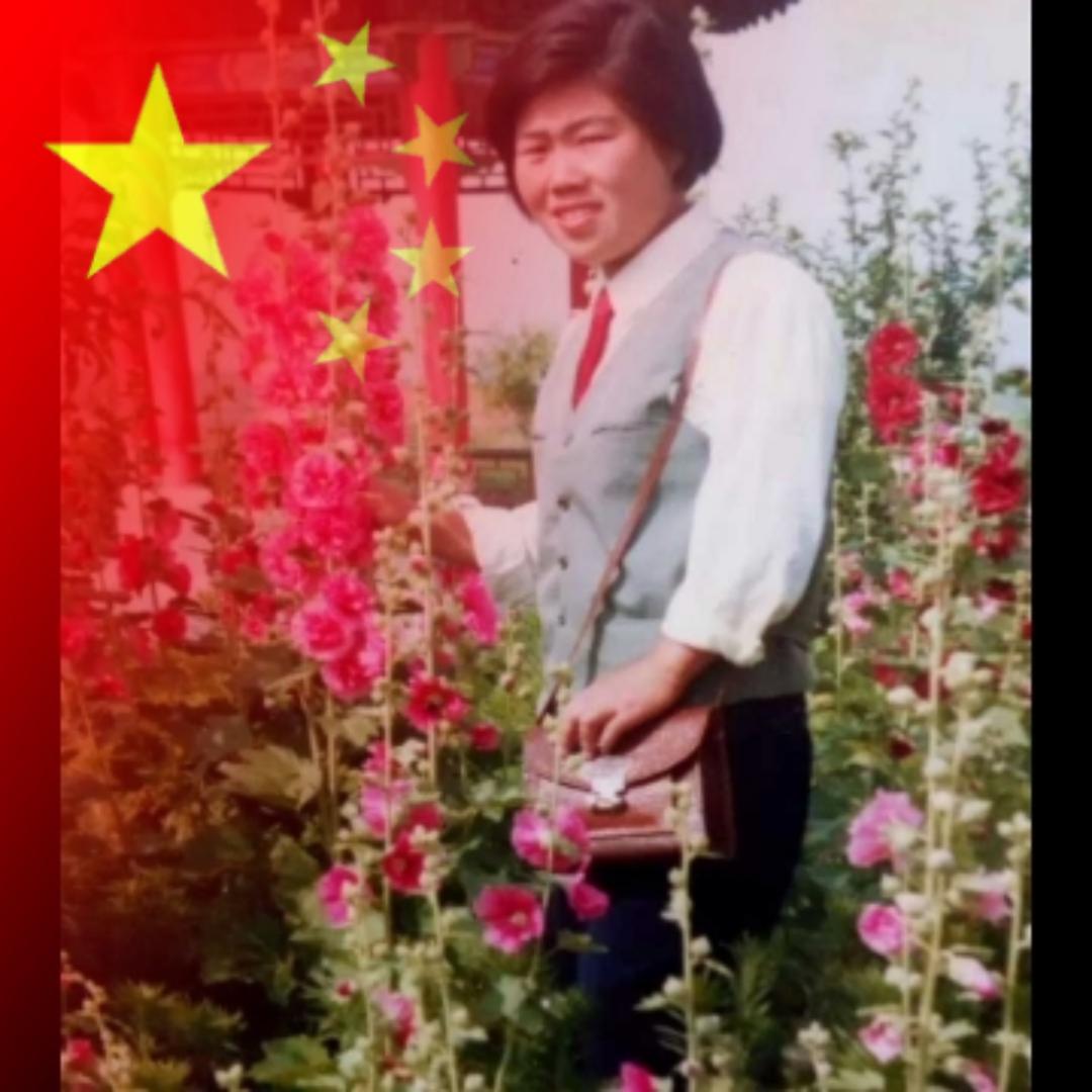 白云知足