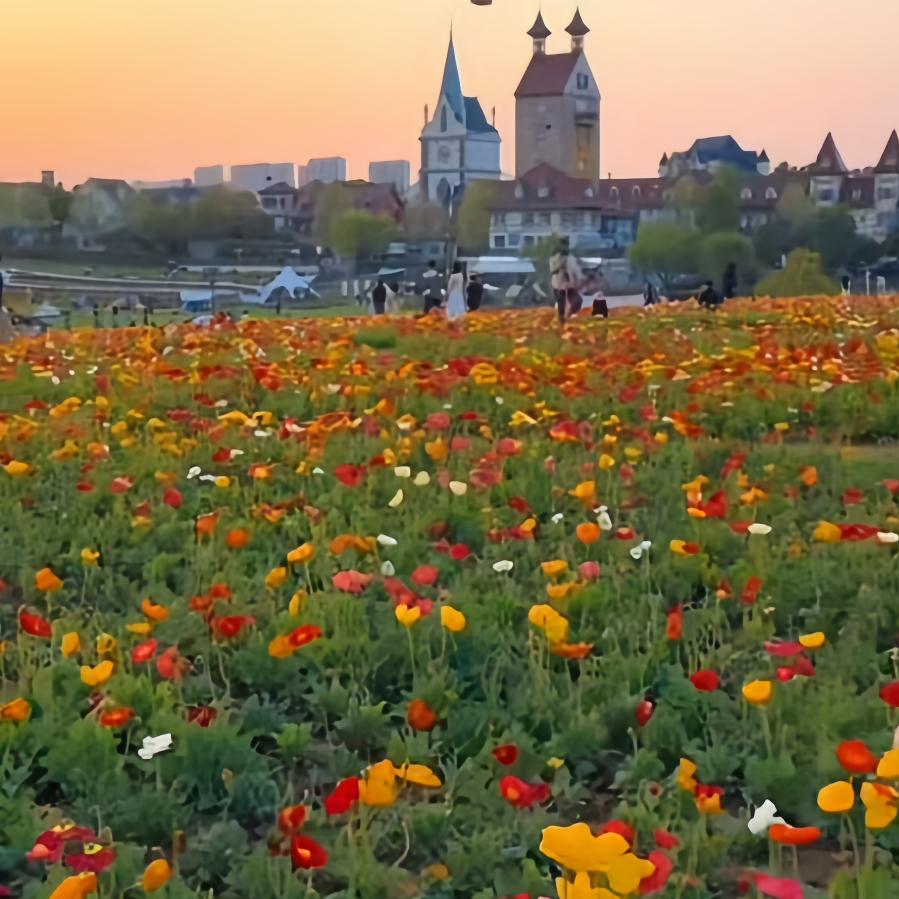 玩转武汉花博汇