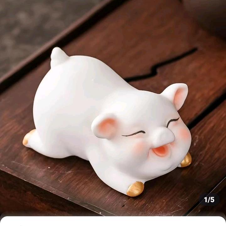 星皇普