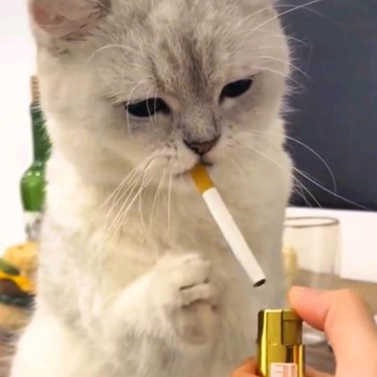 笑起来好运来