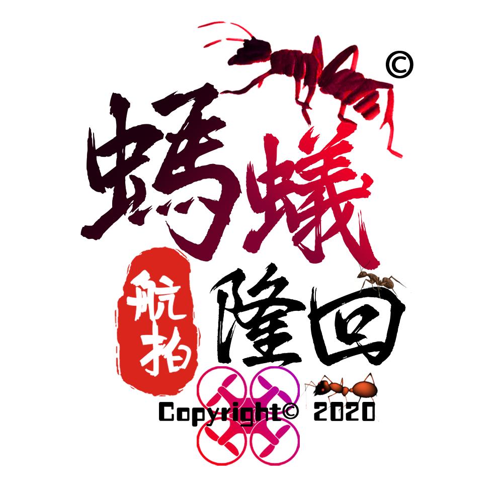 蚂蚁隆回