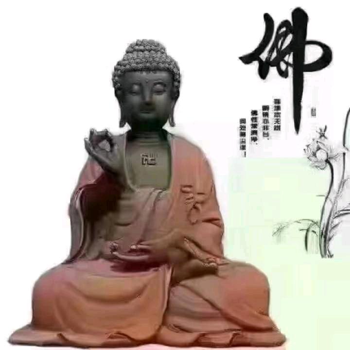 生命的过客