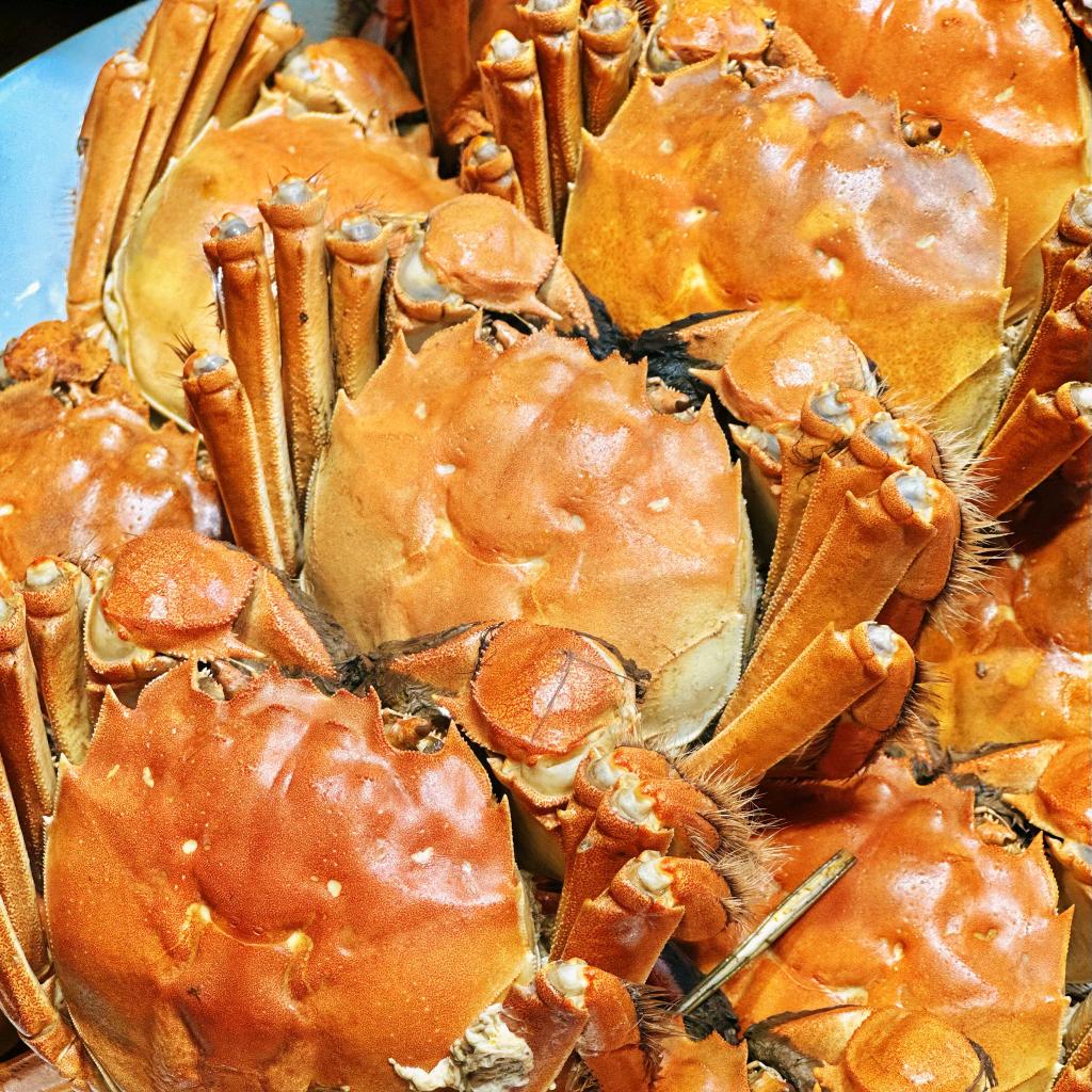 土星生鲜养殖基地