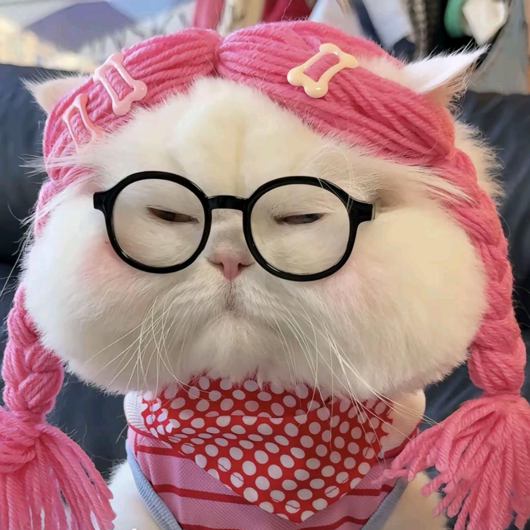 一颗小🍓ʸᵃ.ʚʕ̯•͡˔•