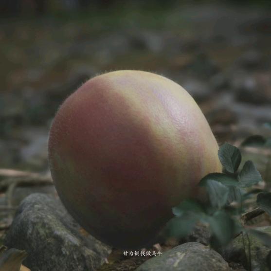 欢乐真君