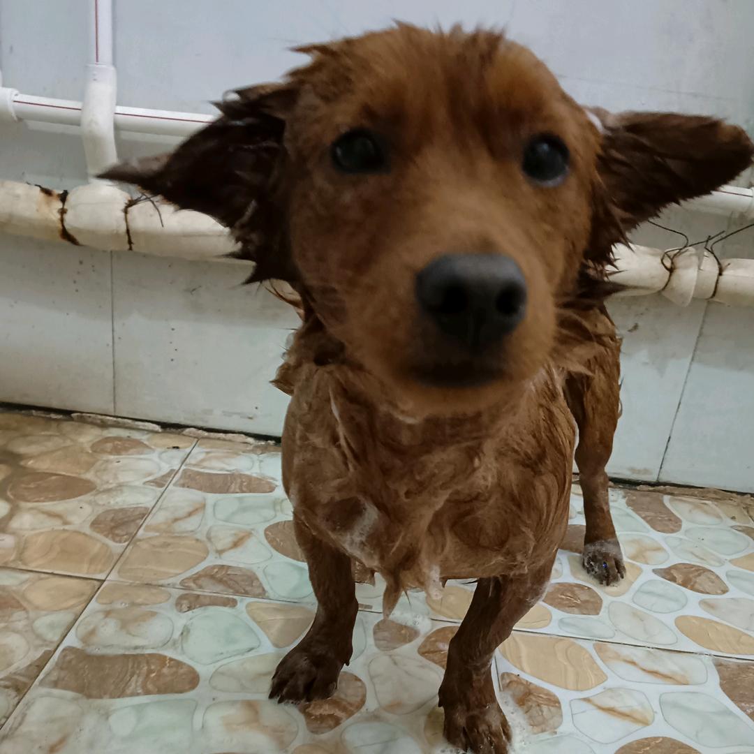 米米与三汪小记