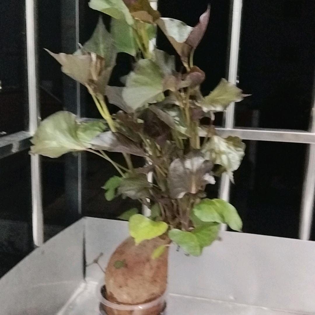 懂得珍惜，才配拥有