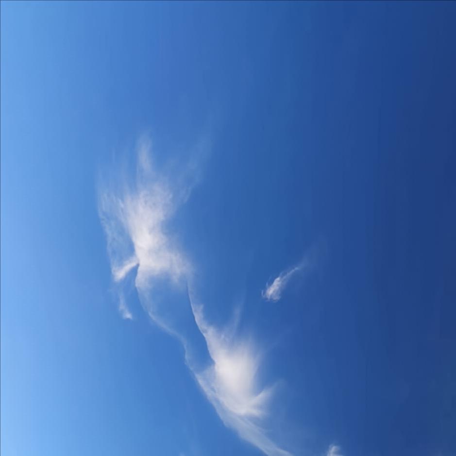 call me汉雨
