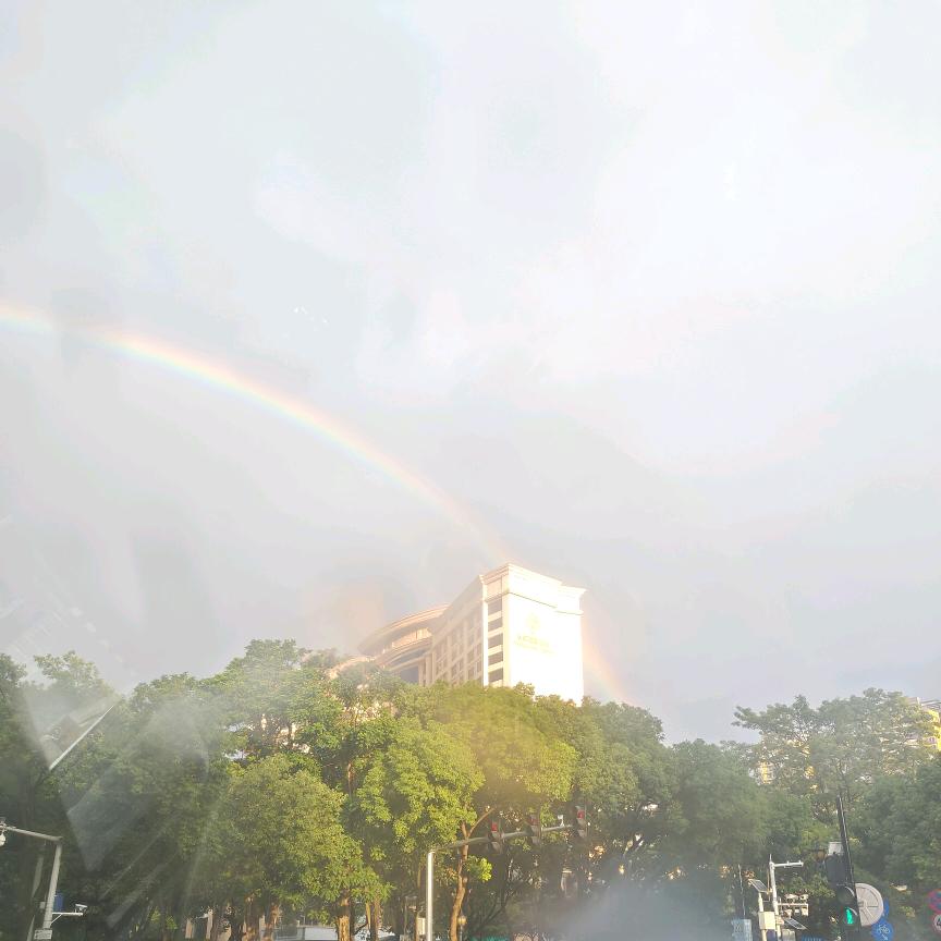 灰灰还是辉辉