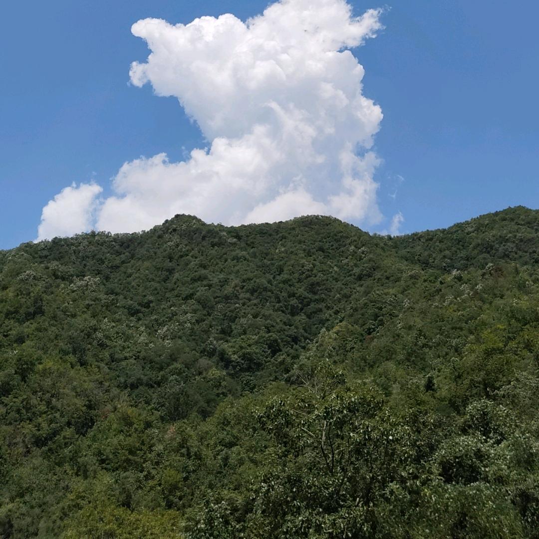 都叫我老马