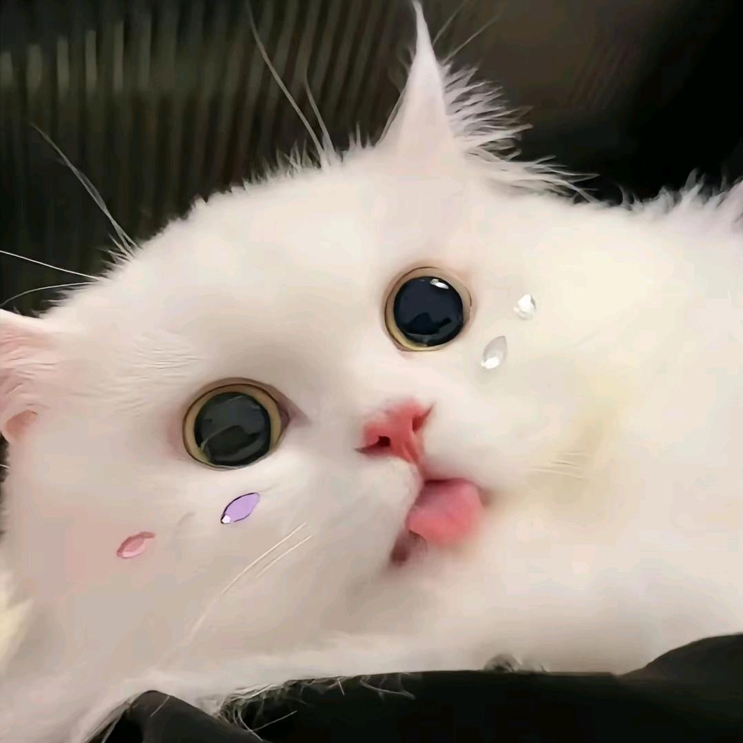 梦幻手游牛哥在此