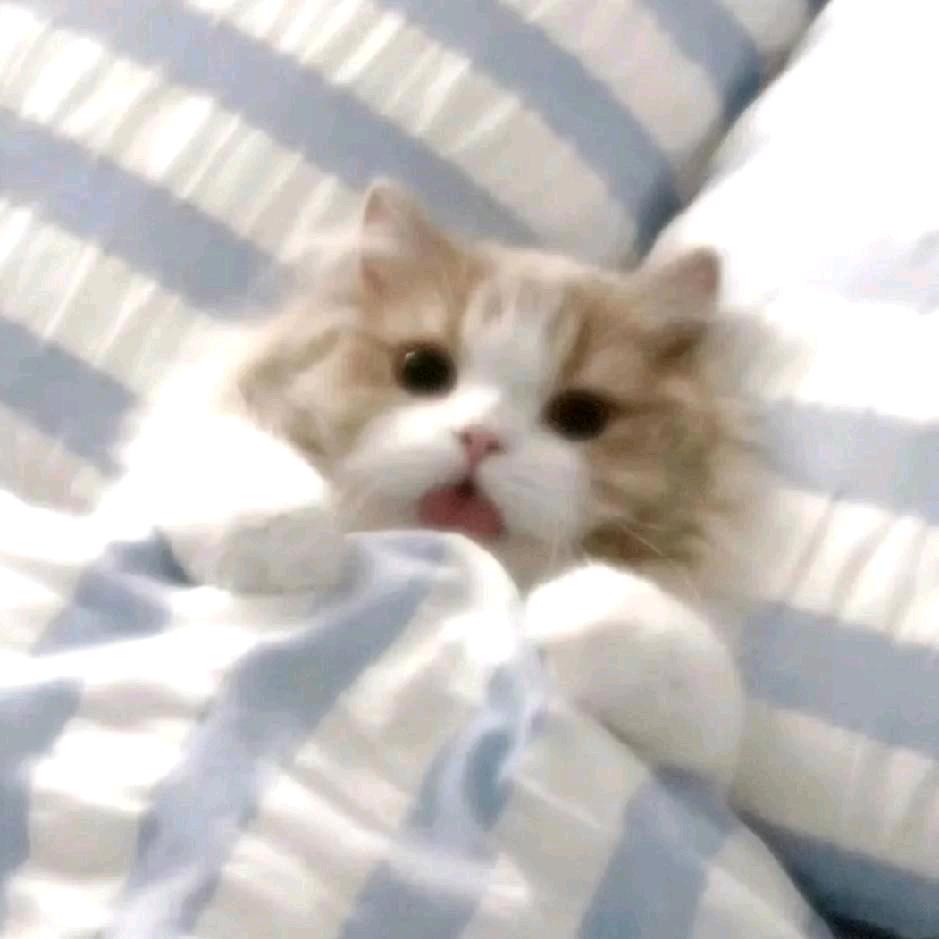 10迁