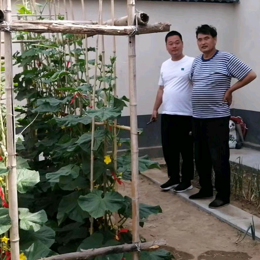 乾县左果右菜农业有限公司