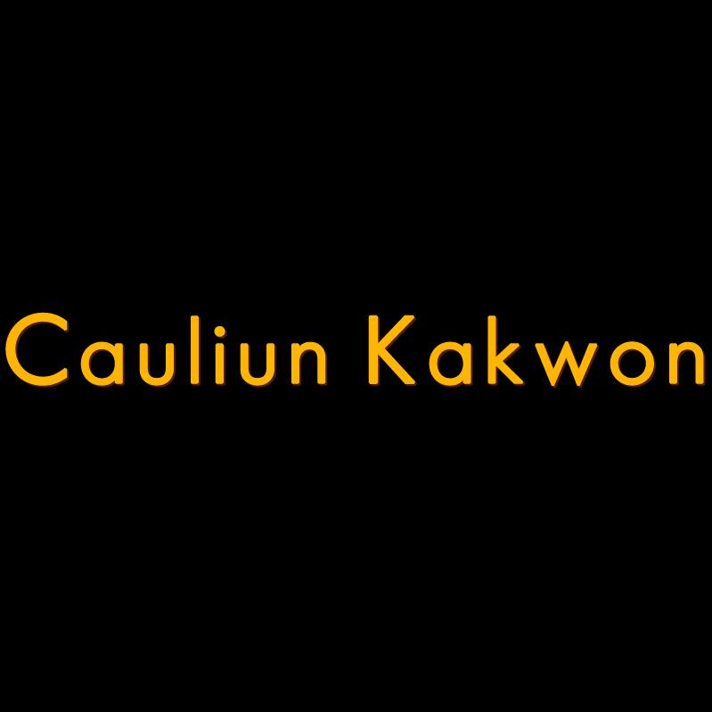 CauliunKakwon箱包