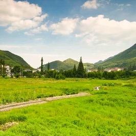 岳西山