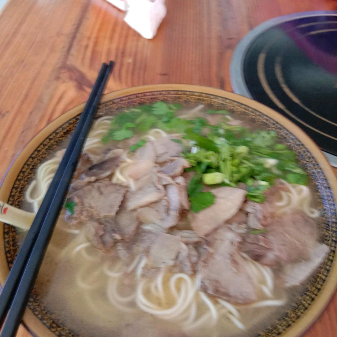 漂泊的人