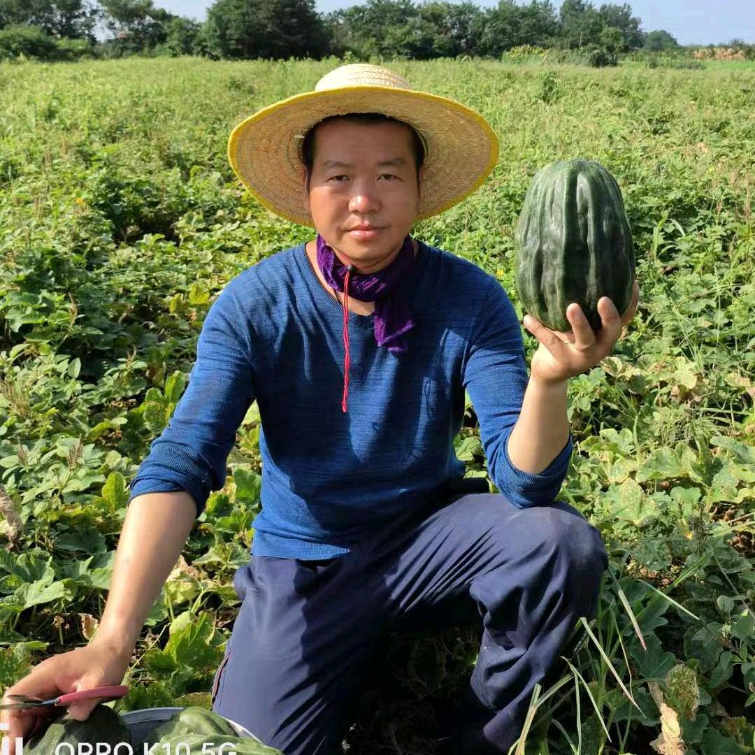 应城丑瓜哥