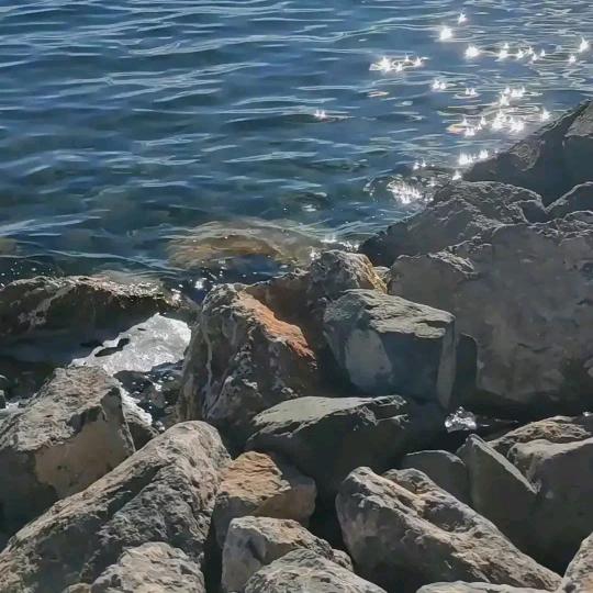 阳光
