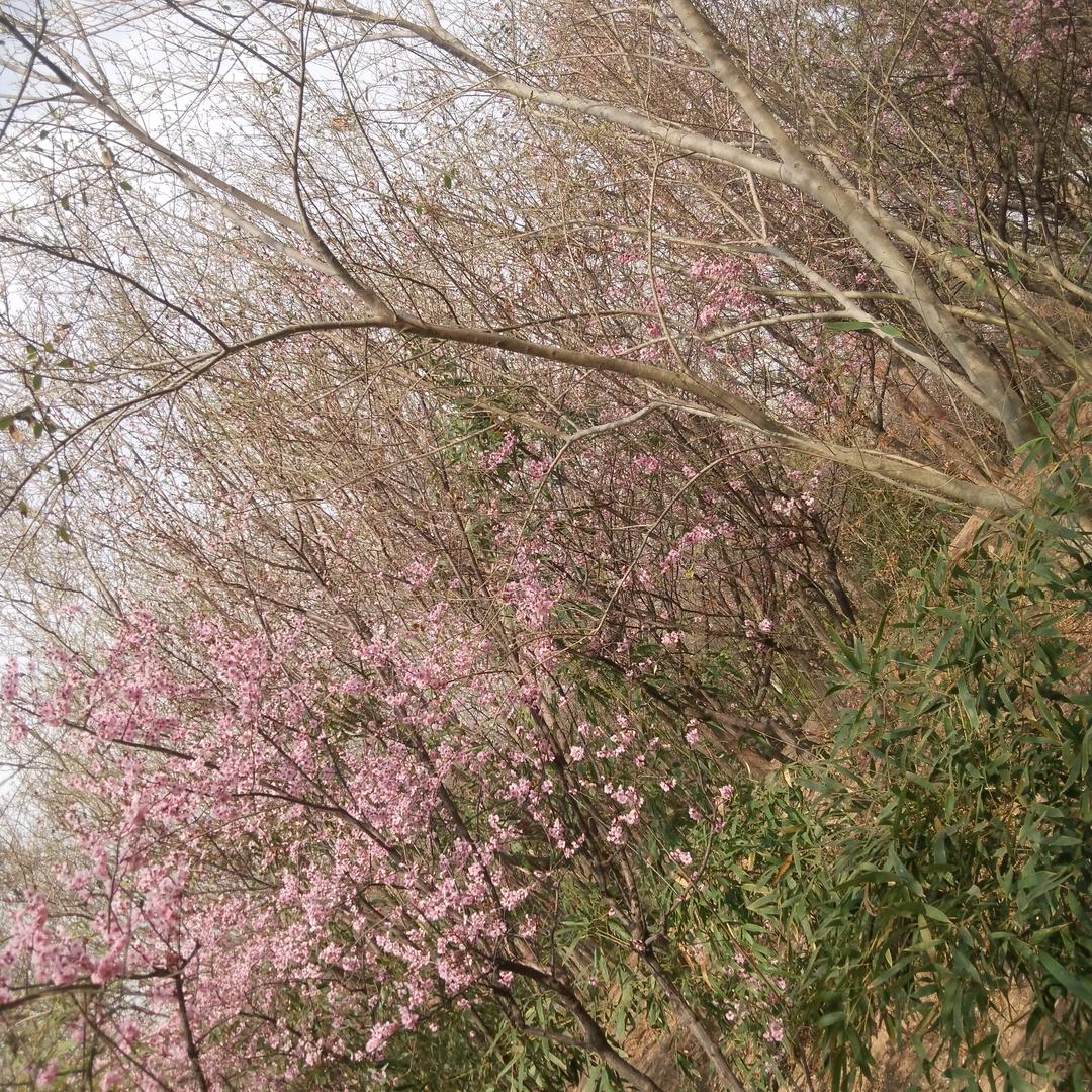 蓝天