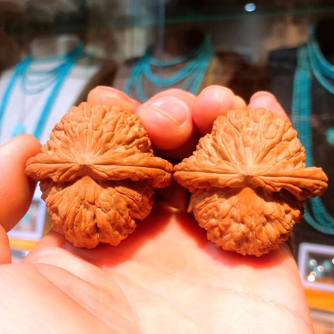 山前小核农