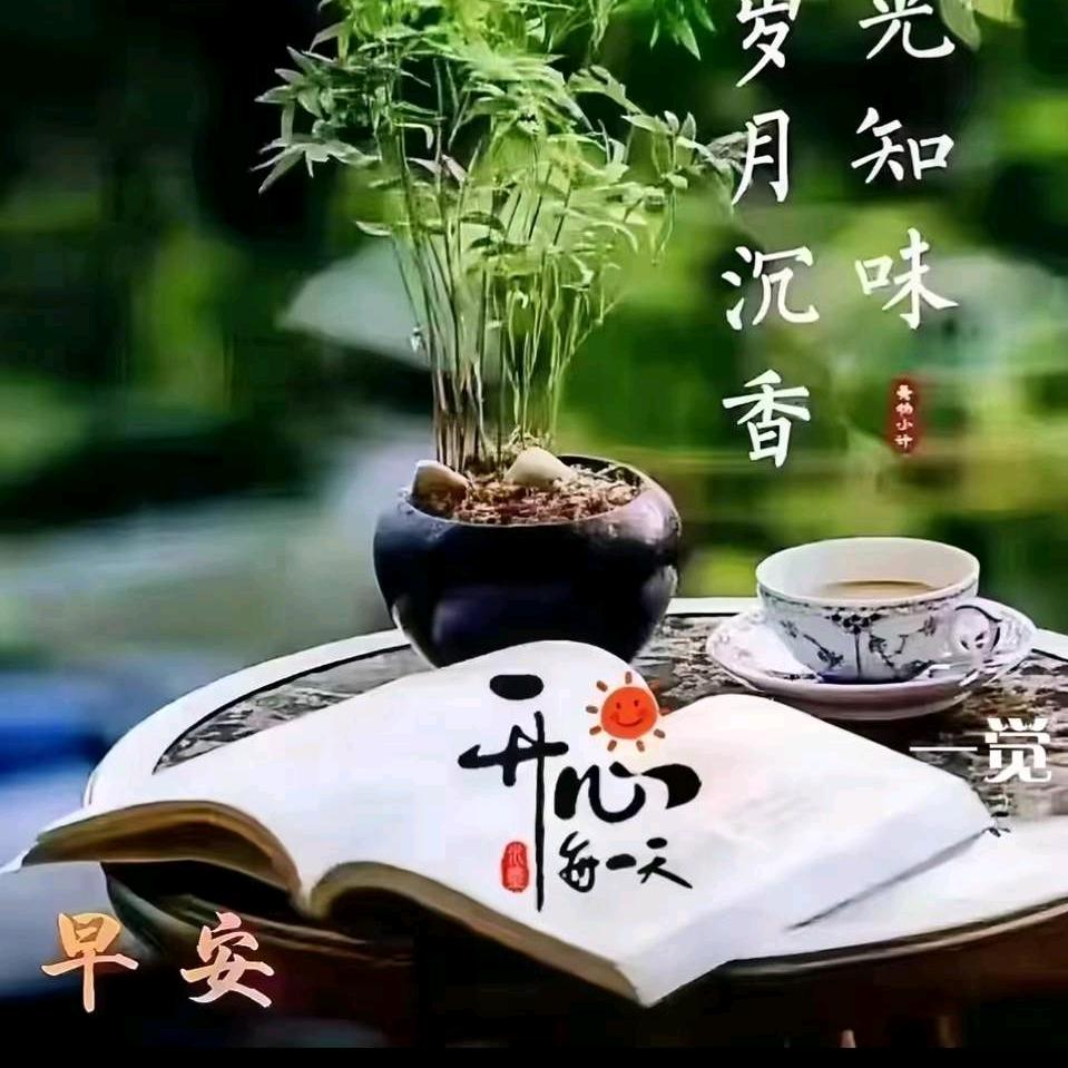 感恩遇见